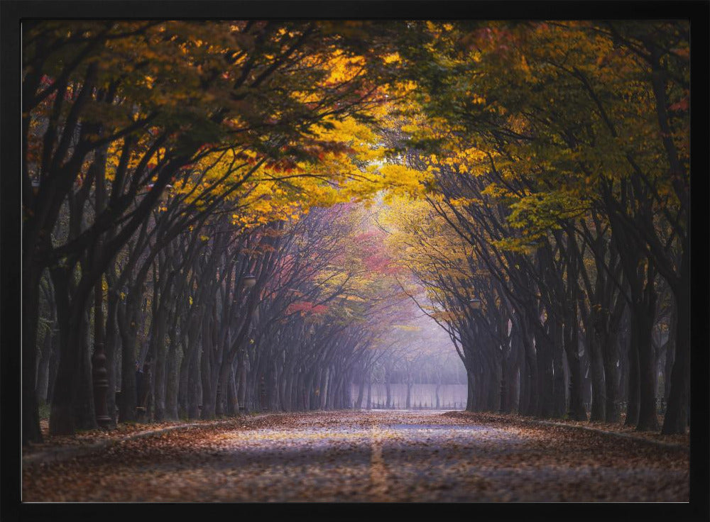 Autumn morning | Poster