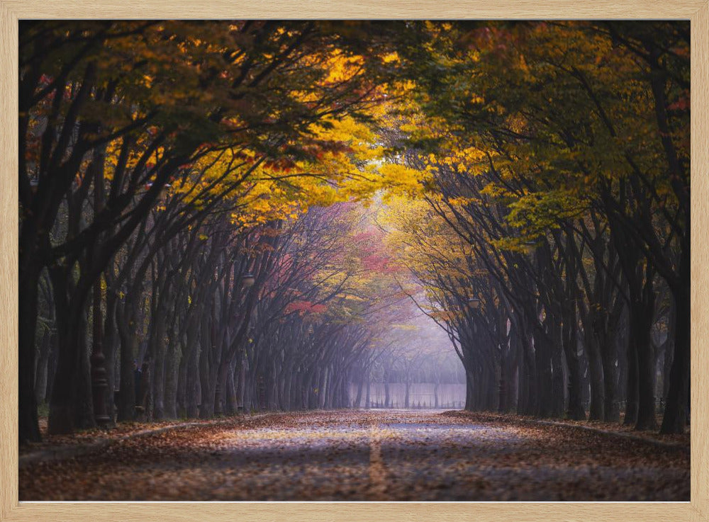 Autumn morning | Poster