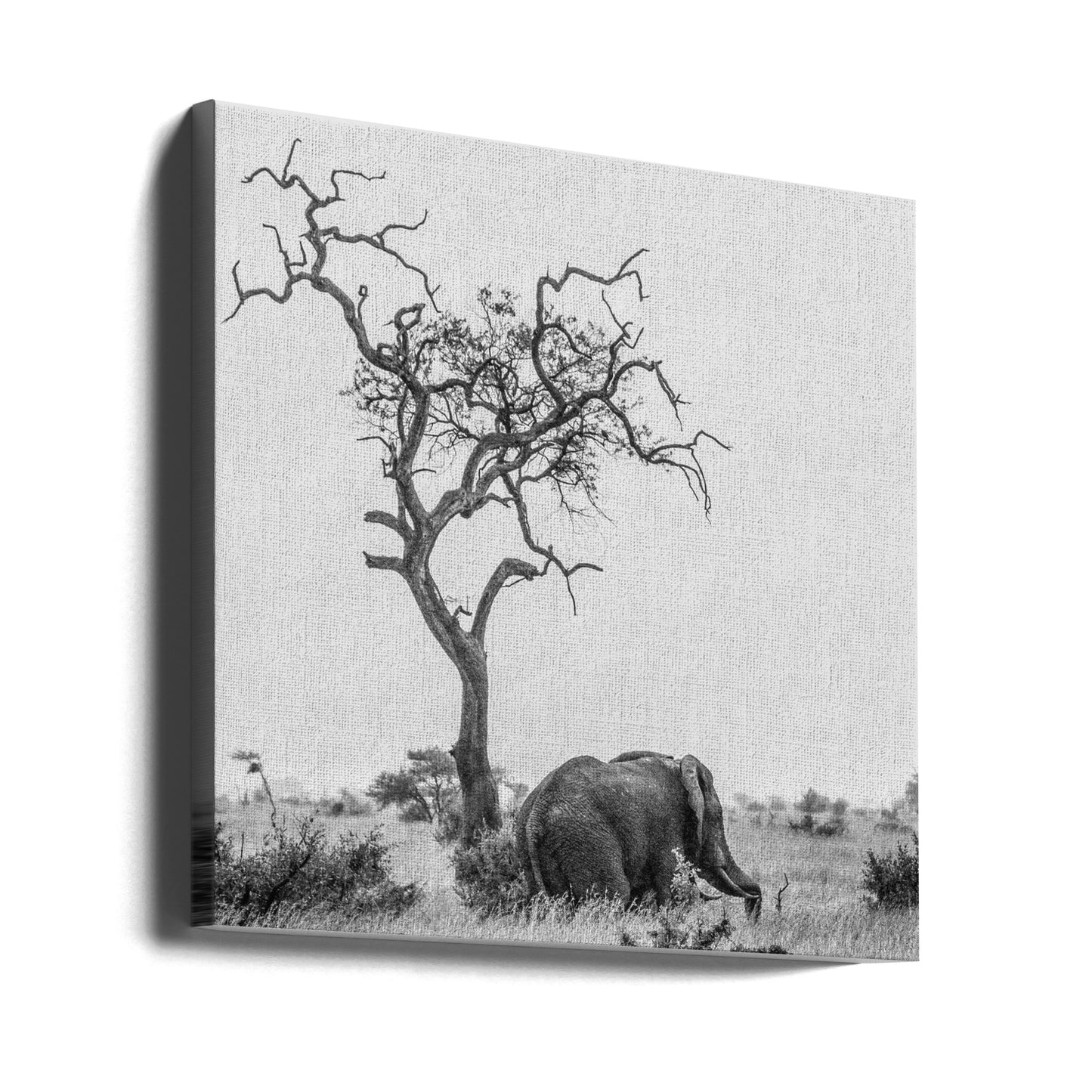 Trädet och elefanten | Canvas