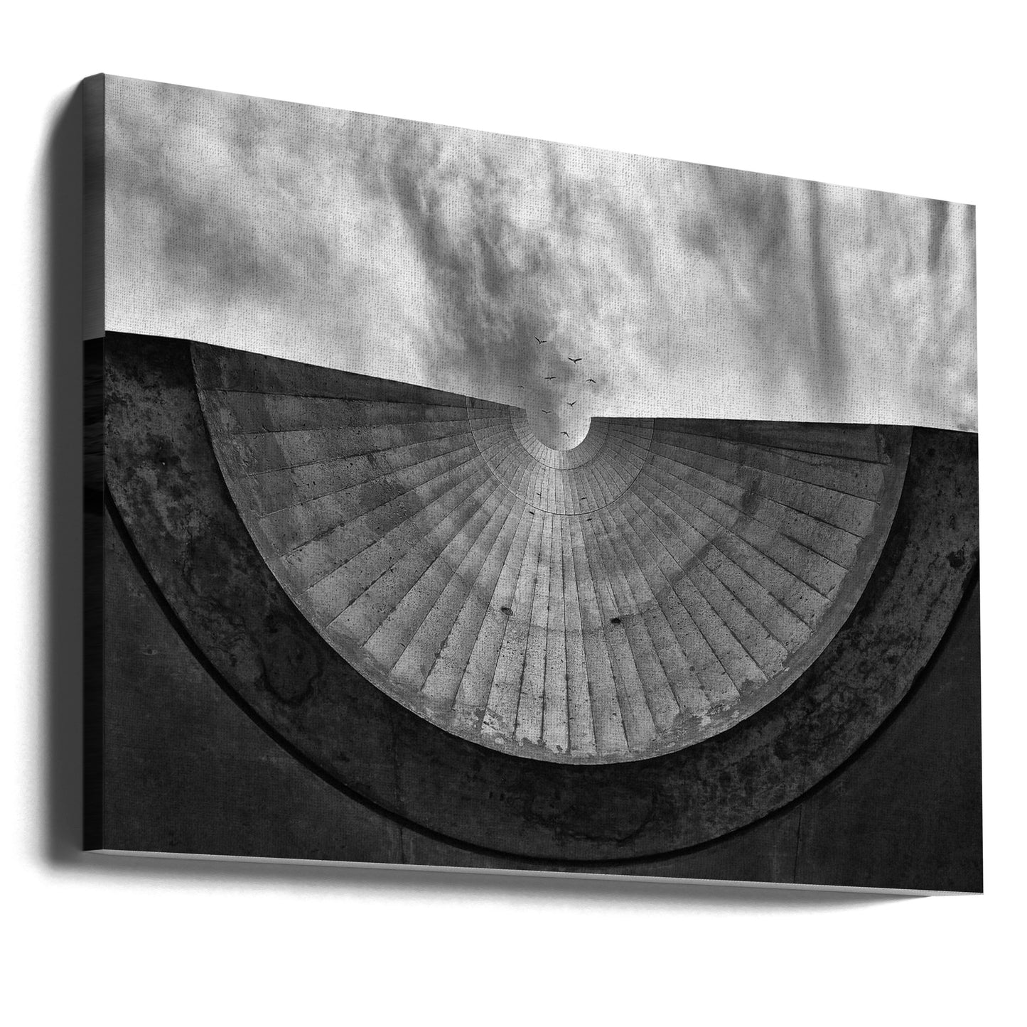 Fåglar utan tråd | Canvas