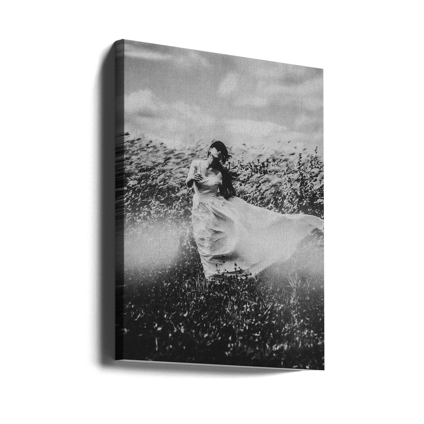 Le nid du vent | Tableaux sur Toile