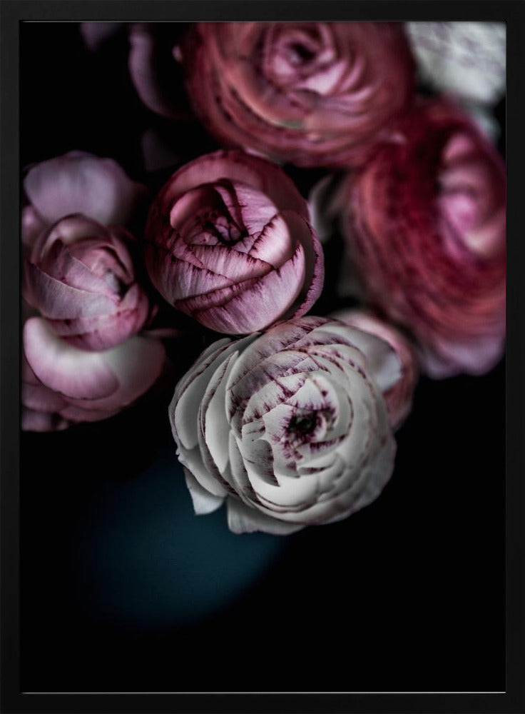 Mörka blommor 2 | Poster
