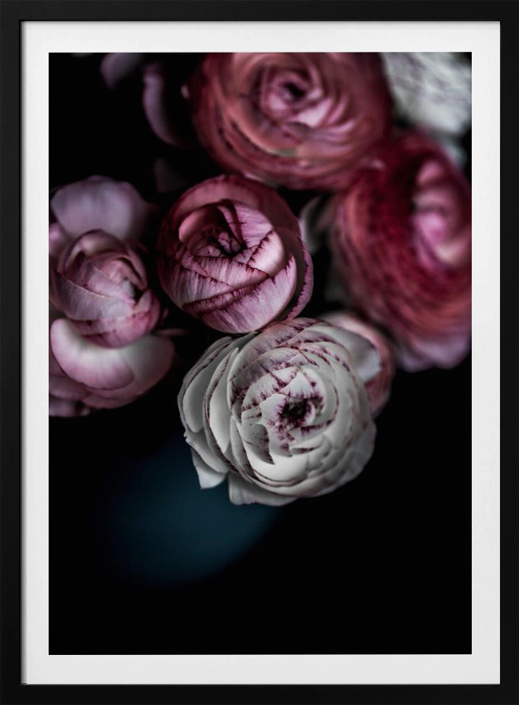 Mörka blommor 2 | Poster