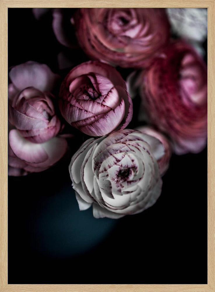 Mörka blommor 2 | Poster