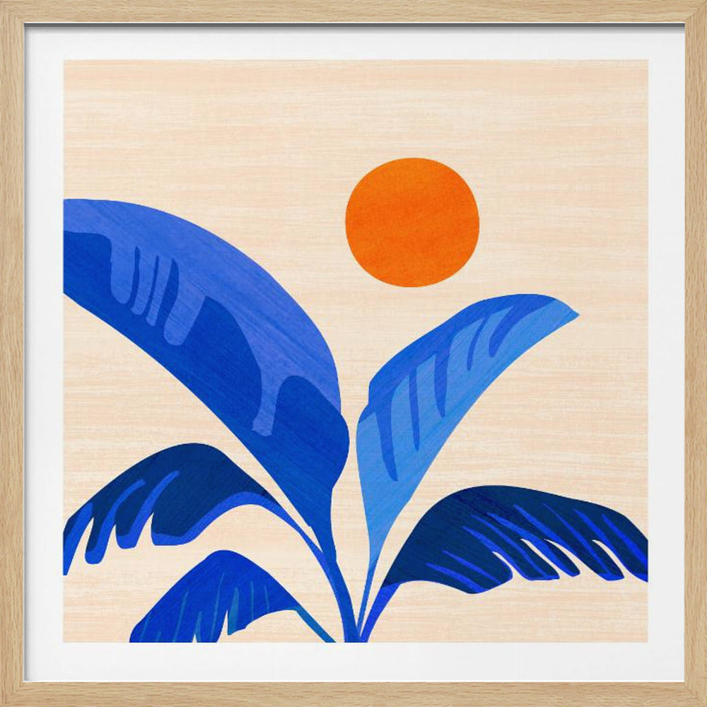 Indigo Tropikerna | Poster