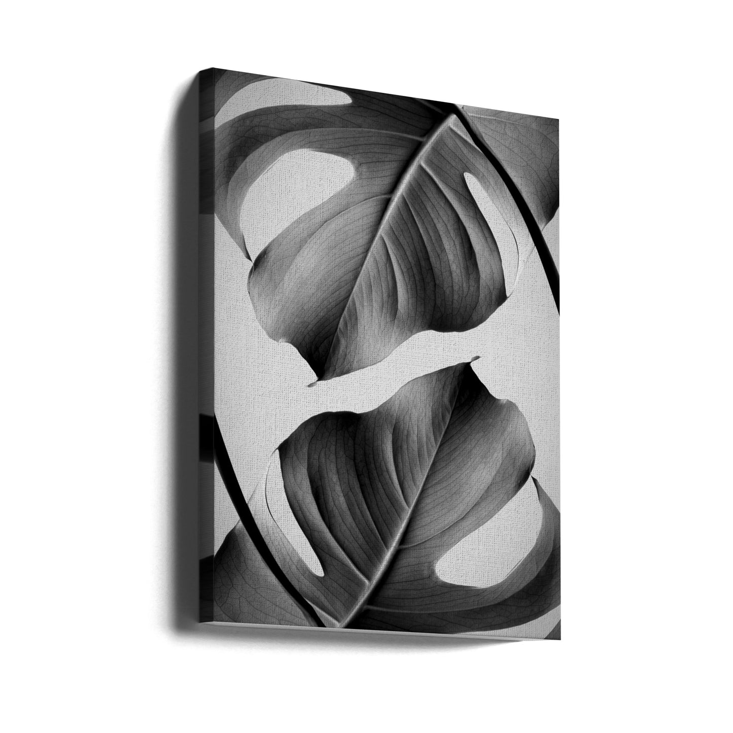 Monstera Monokrom | Canvas