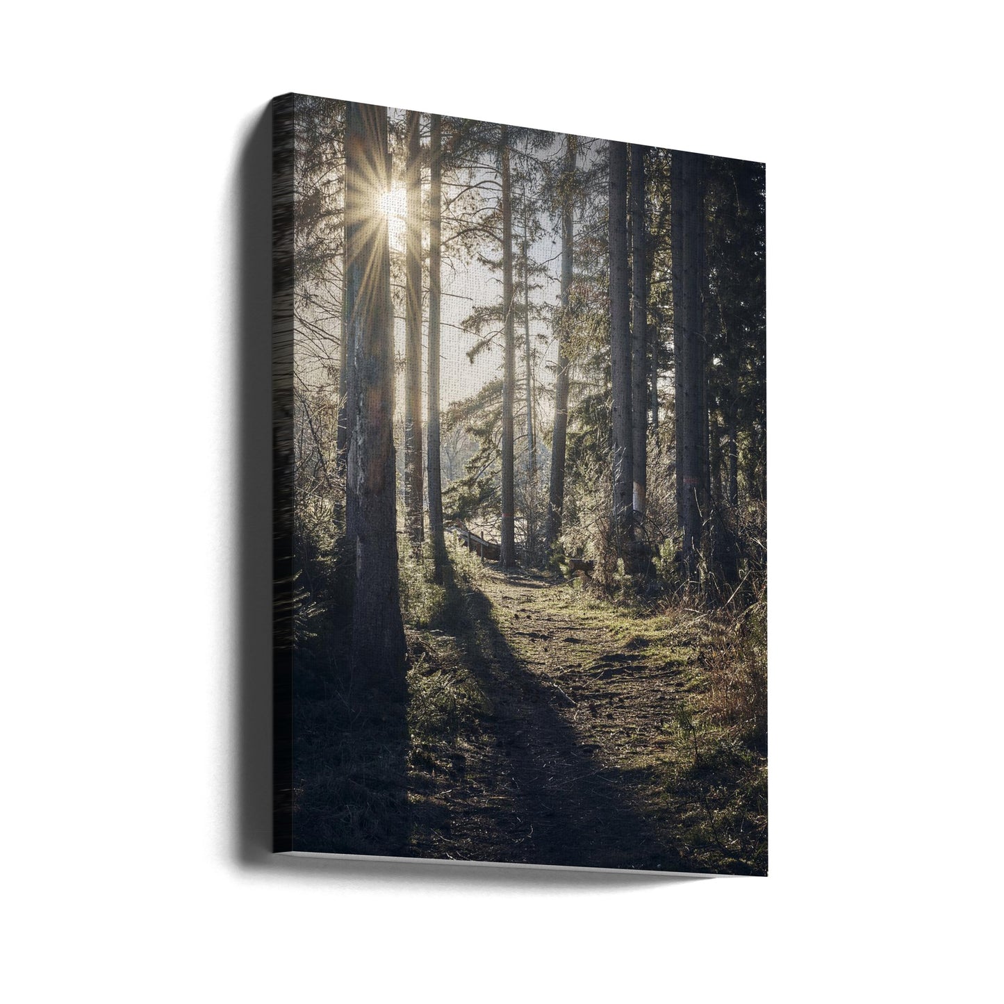 Dsf2913 Hdr 1 | Tableaux sur Toile