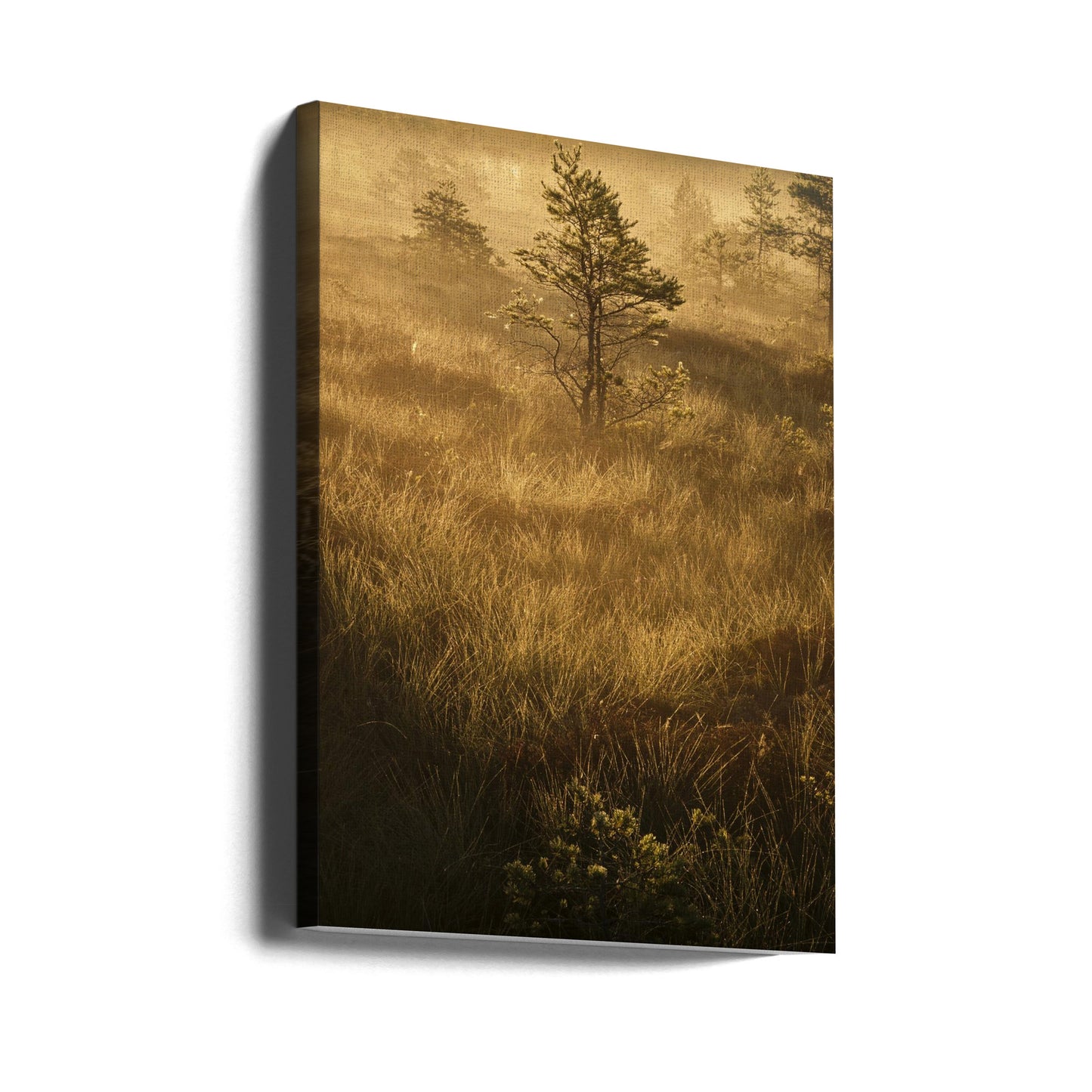 20220809 Dsf8033 | Tableaux sur Toile