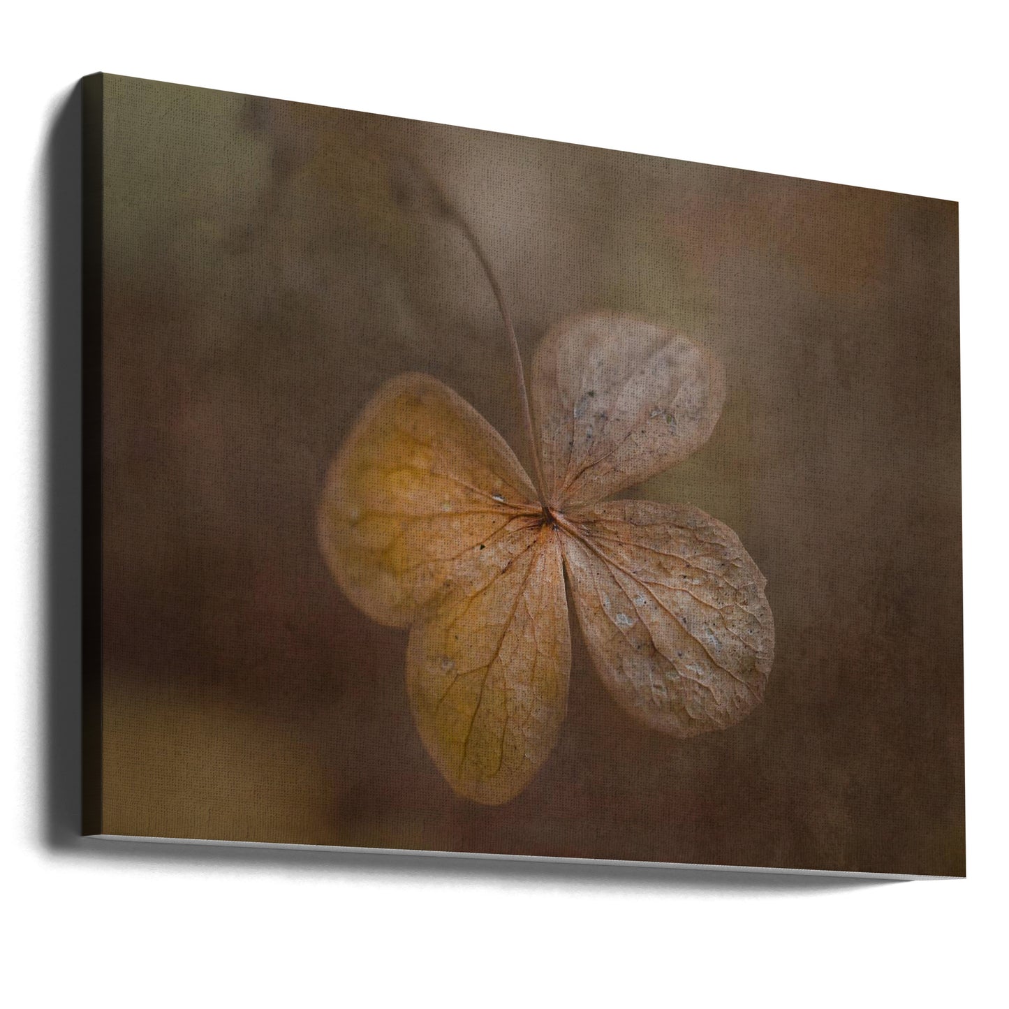 dagens rester | Canvas