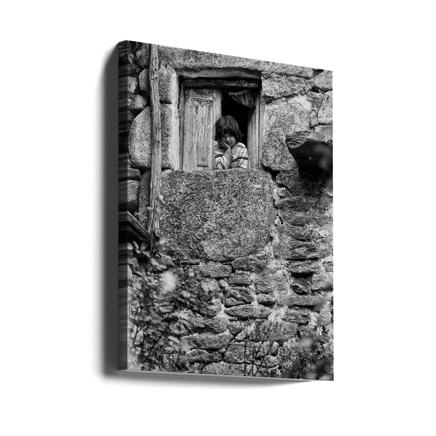 Trás-os-Montes 195 7 24 | Duk
