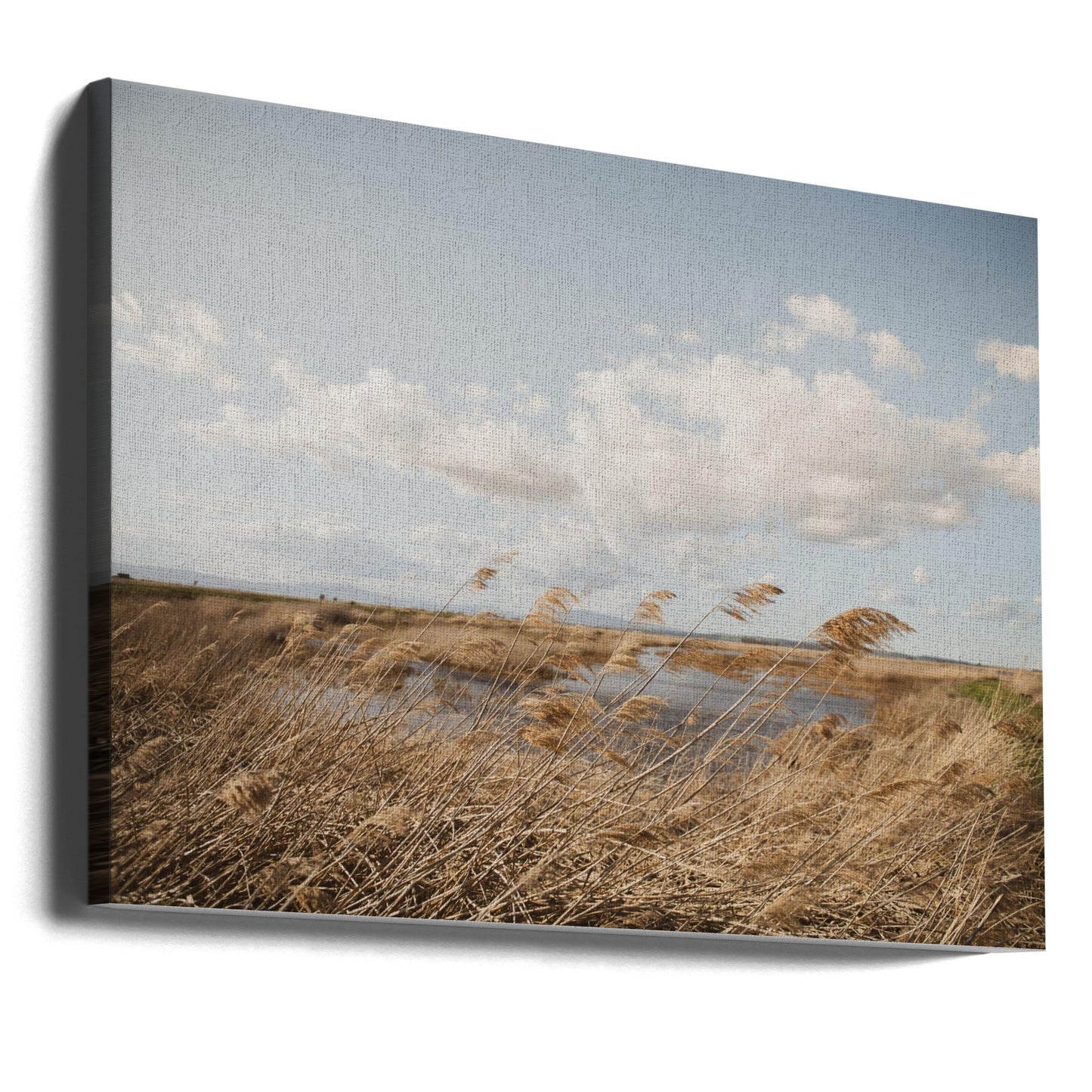 Marais n°6 | Tableaux sur Toile