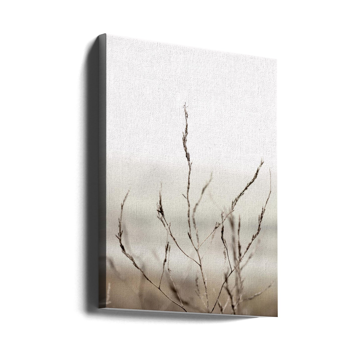 Pickleweed n°1 | Tableaux sur Toile