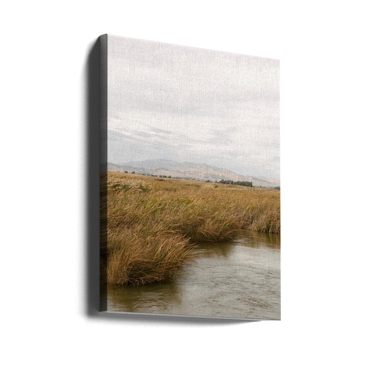 Träskmark nr 2 | Canvas