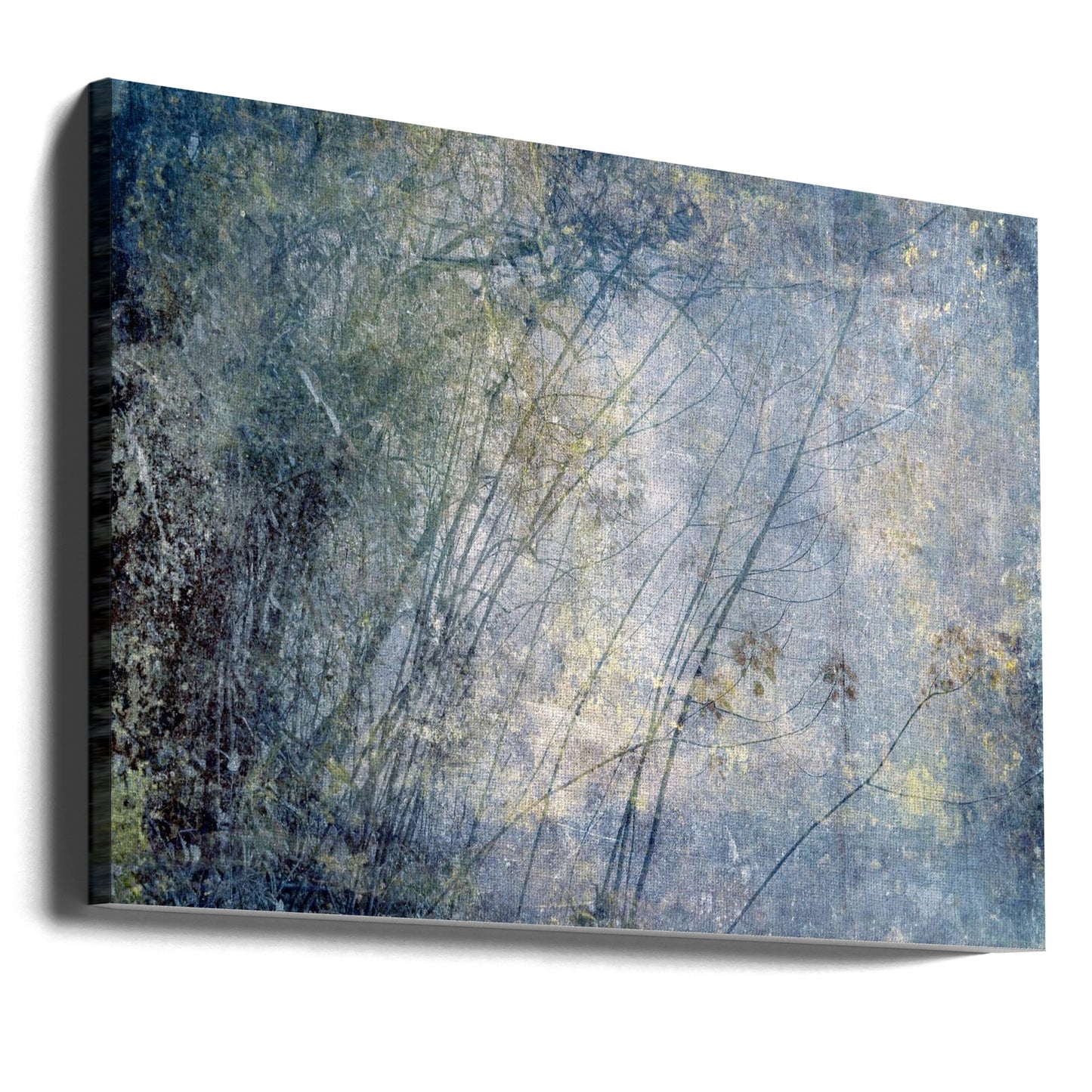 High Sierra I | Canvas