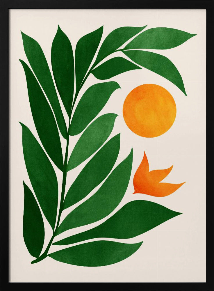 Tropisk skogssolnedgång | Poster