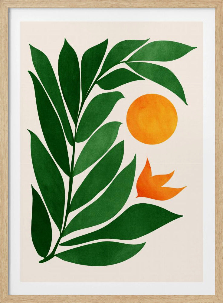Tropisk skogssolnedgång | Poster