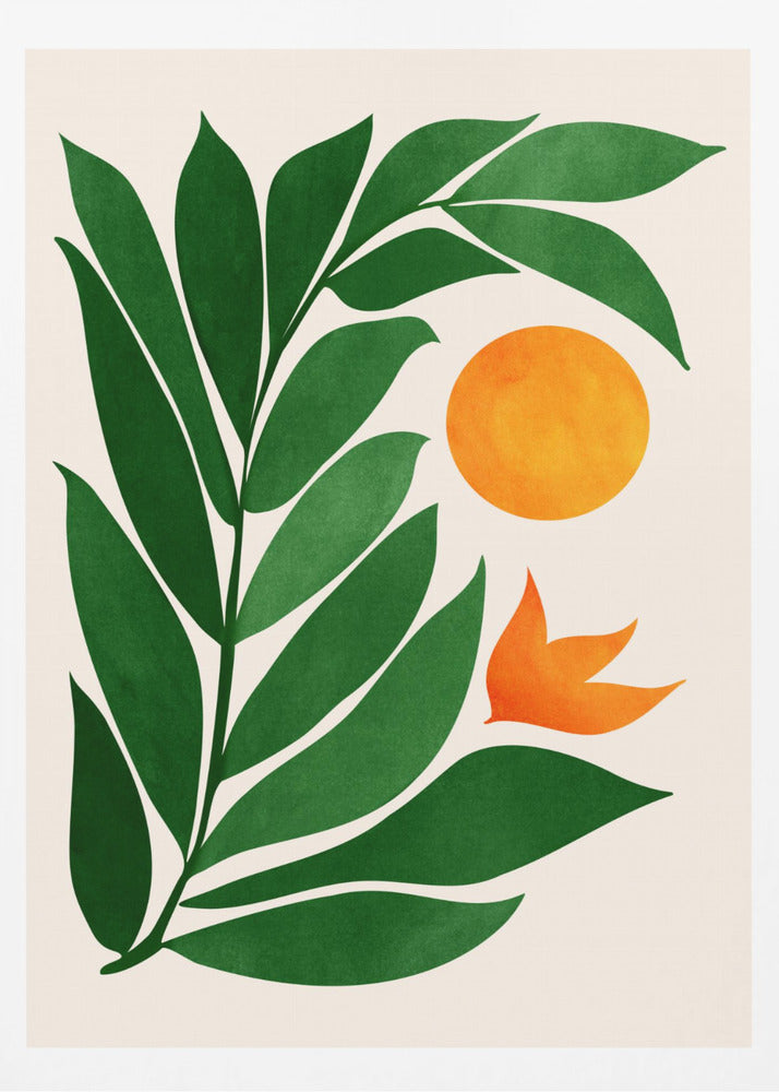 Tropisk skogssolnedgång | Poster