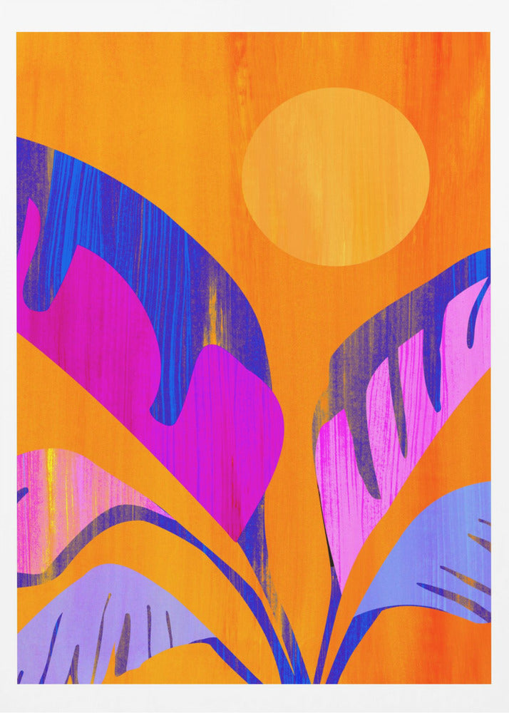 Mystiska tropikerna | Poster