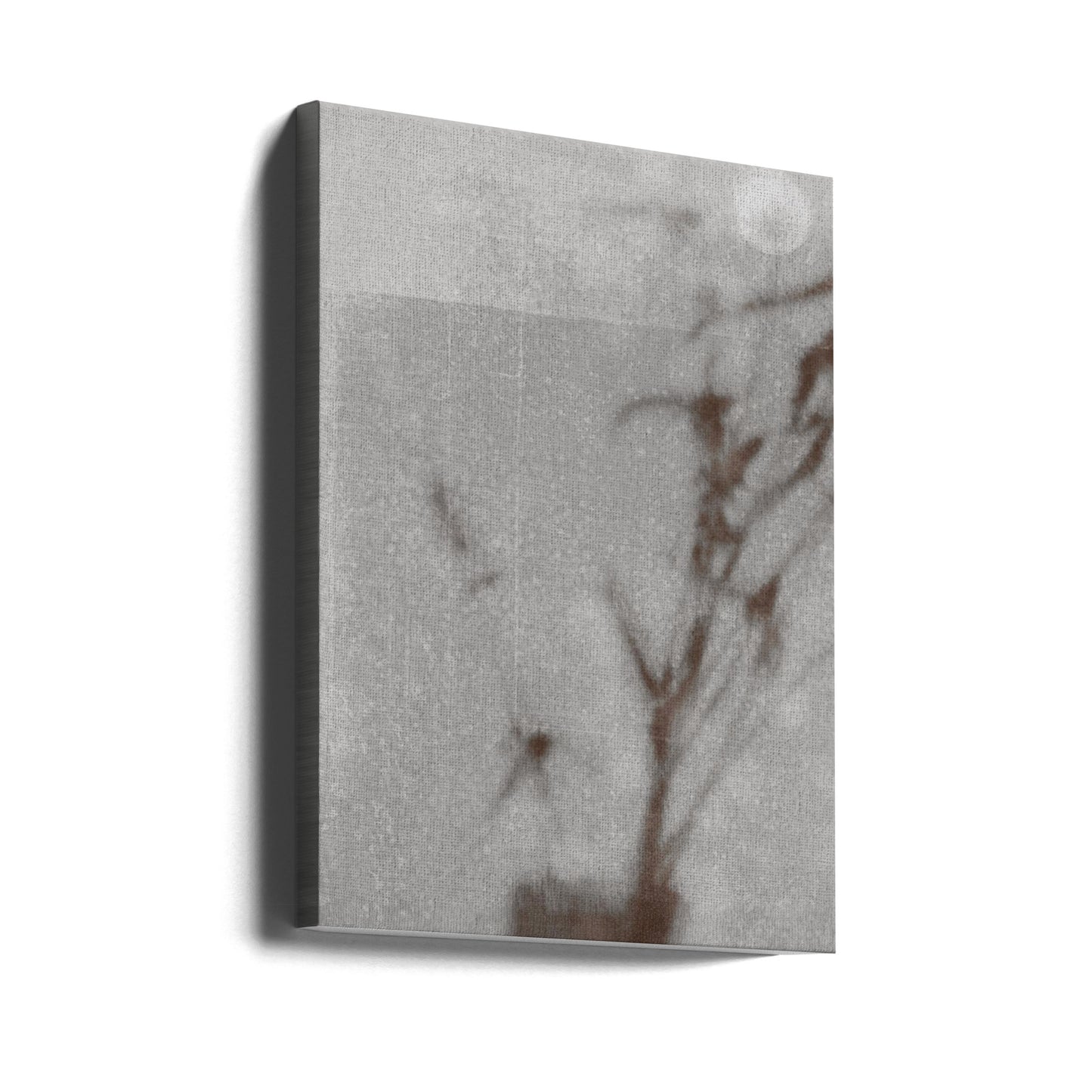 Botanisk silhuett | Canvas