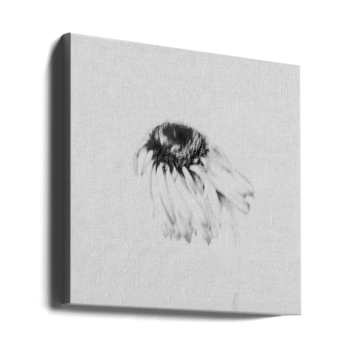 Stämningsfull blomma | Canvas
