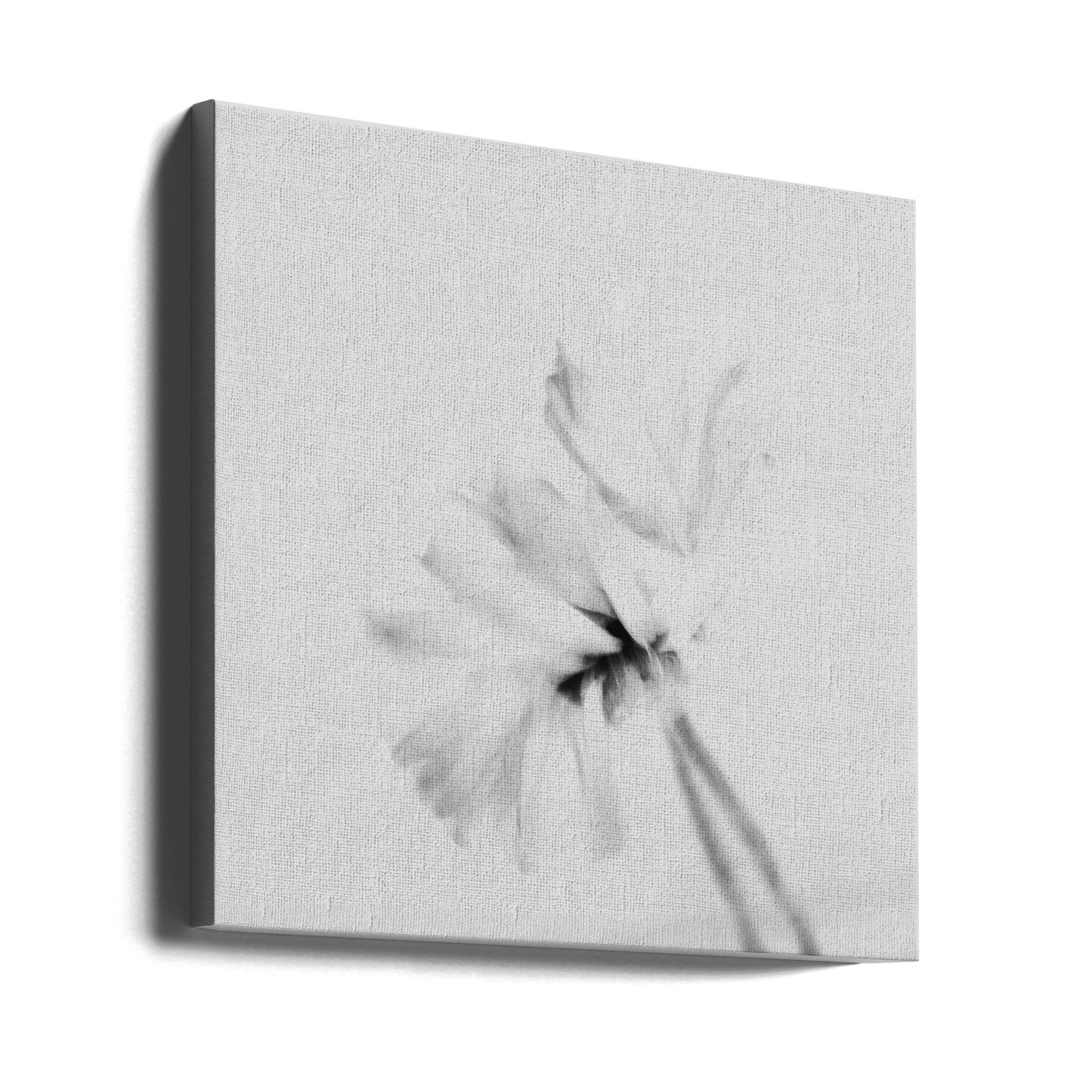 Stämningsfull blomma 2 | Canvastavla