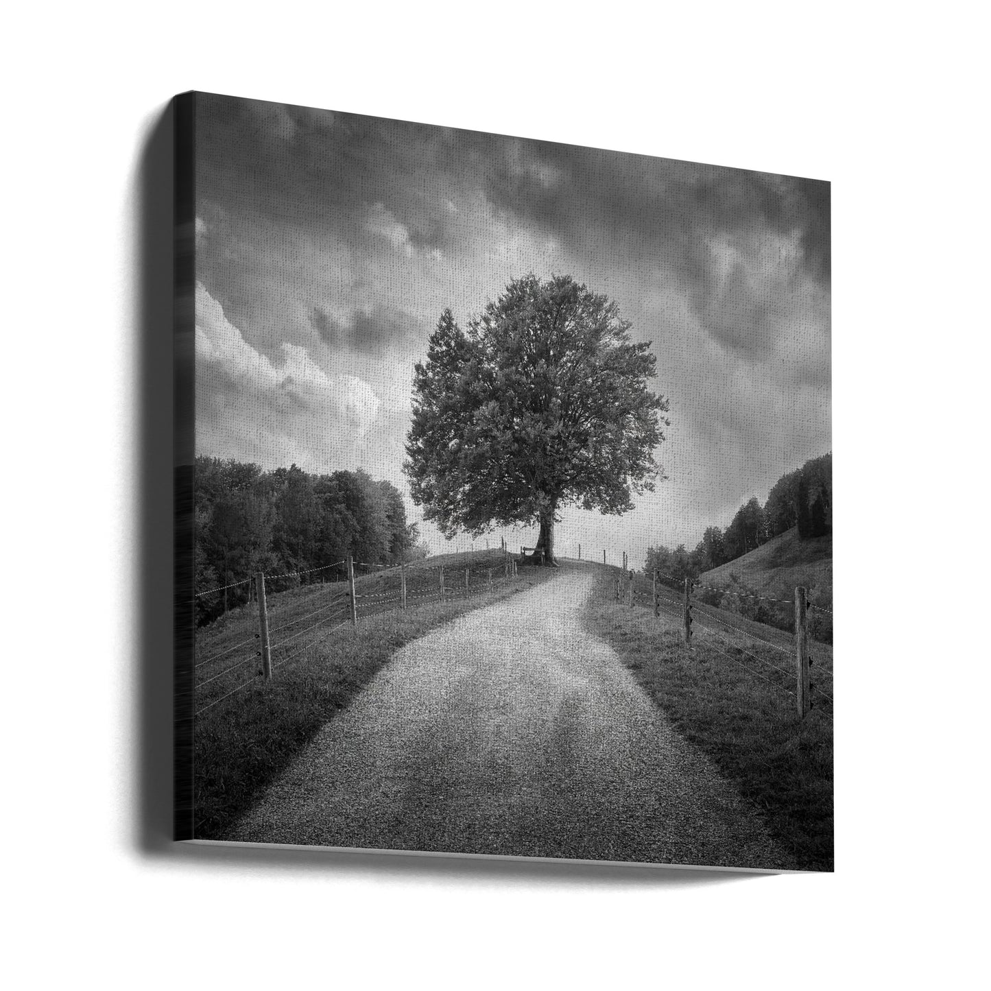 Under svarta himlar | Canvas