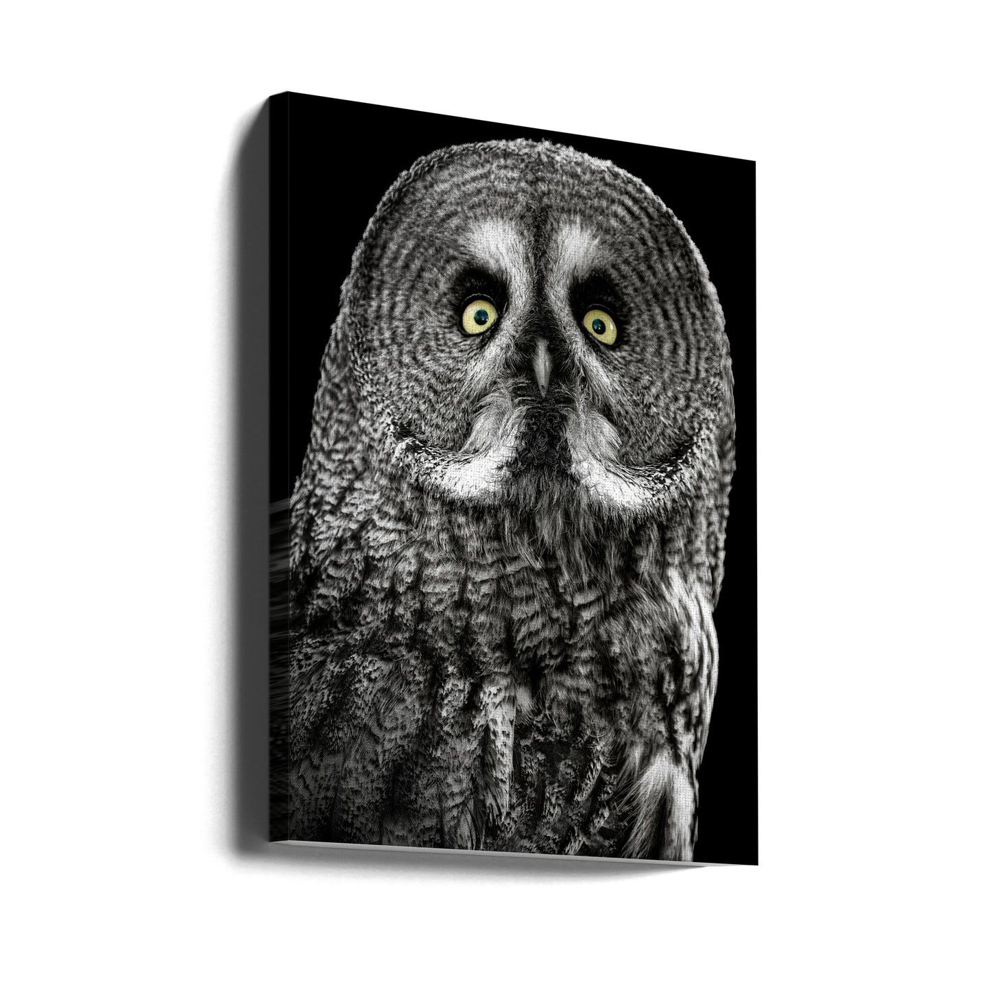 Uggla | Canvas