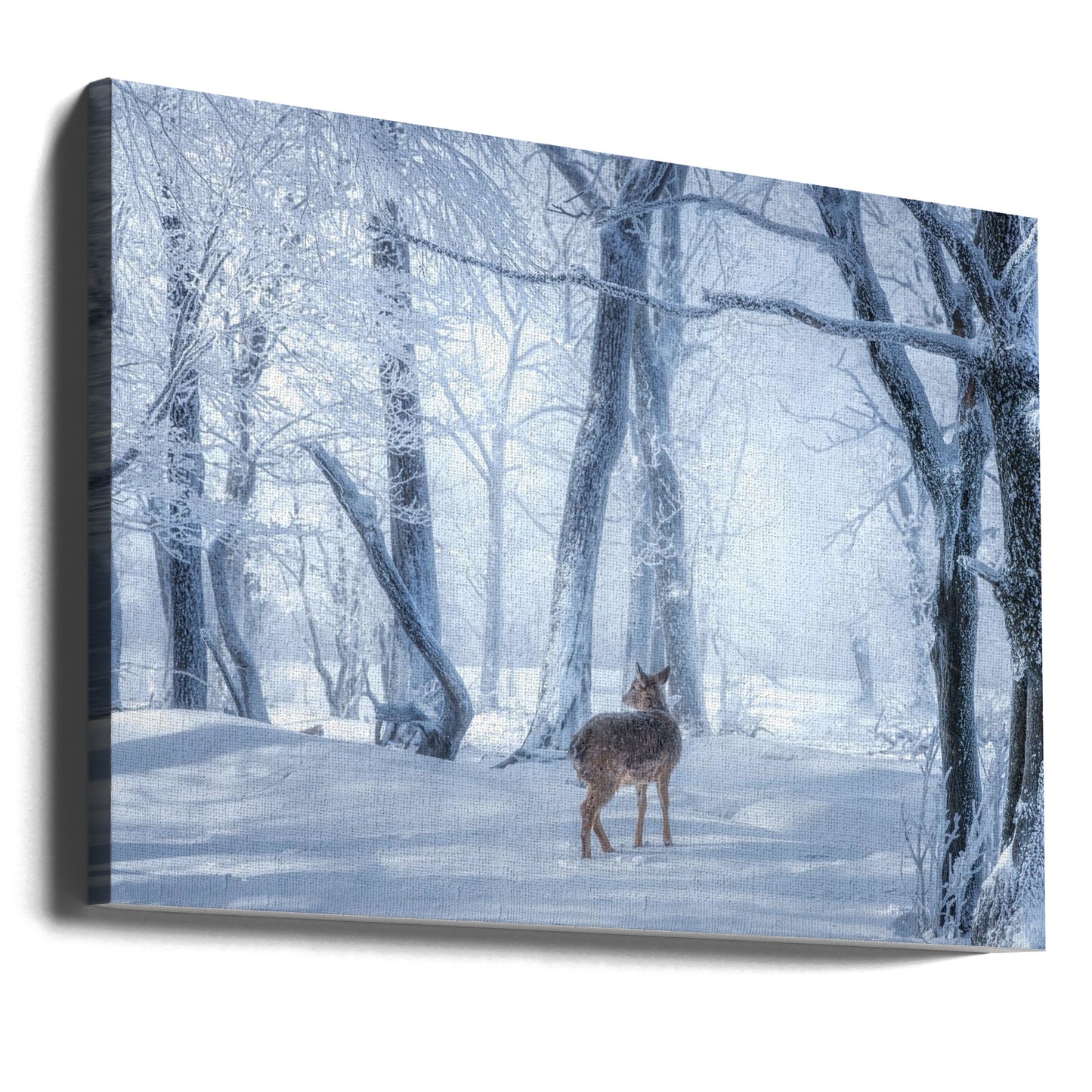 Sikahjorten i den snötäckta skogen | Canvastavla