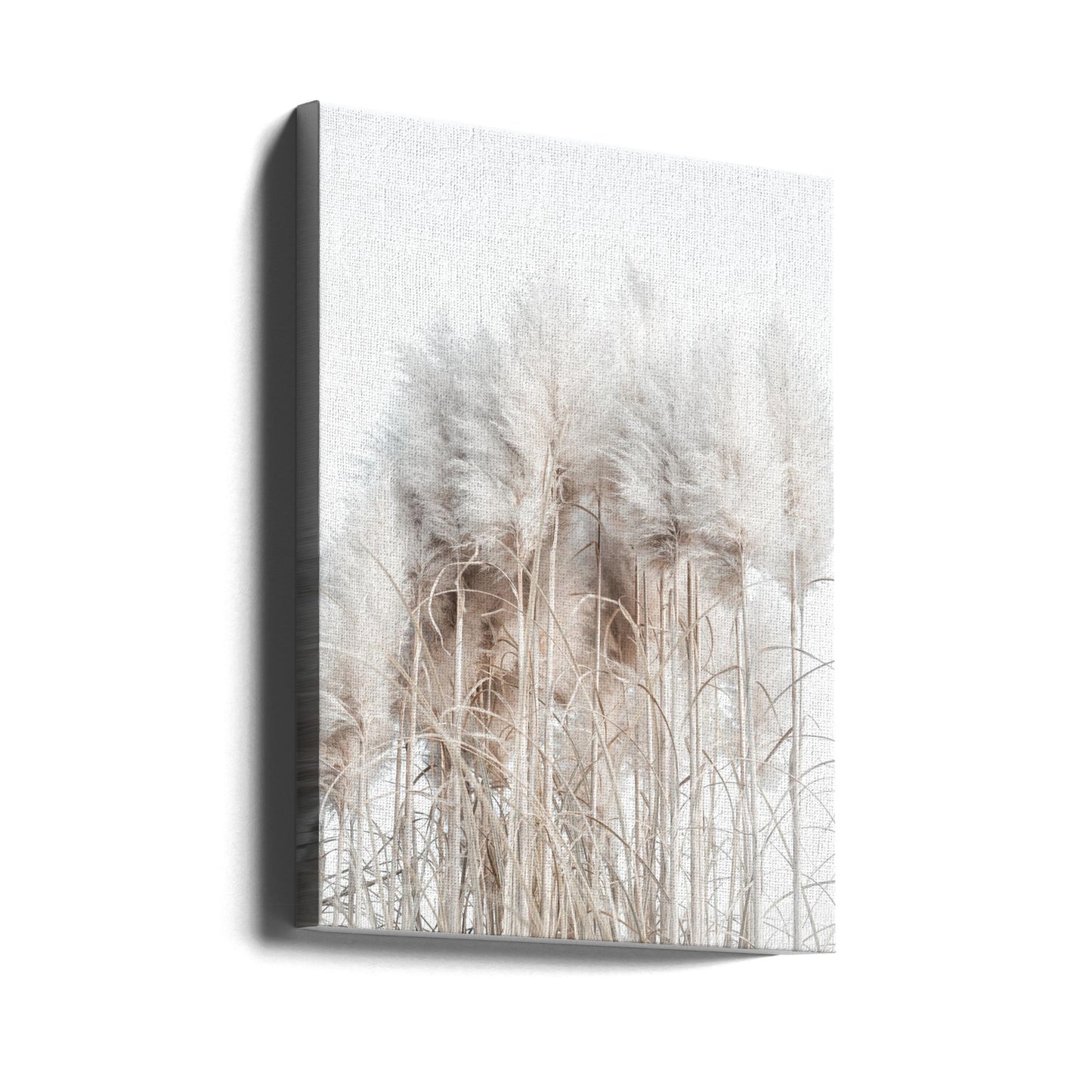 Pampasgräs II | Canvasduk