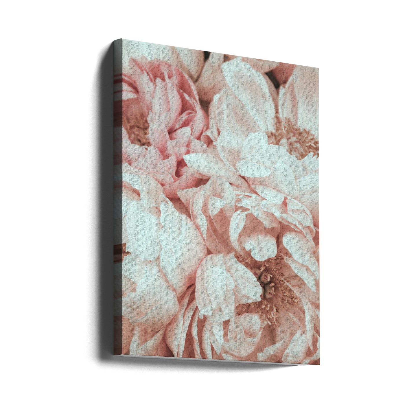 Blommix | Canvas