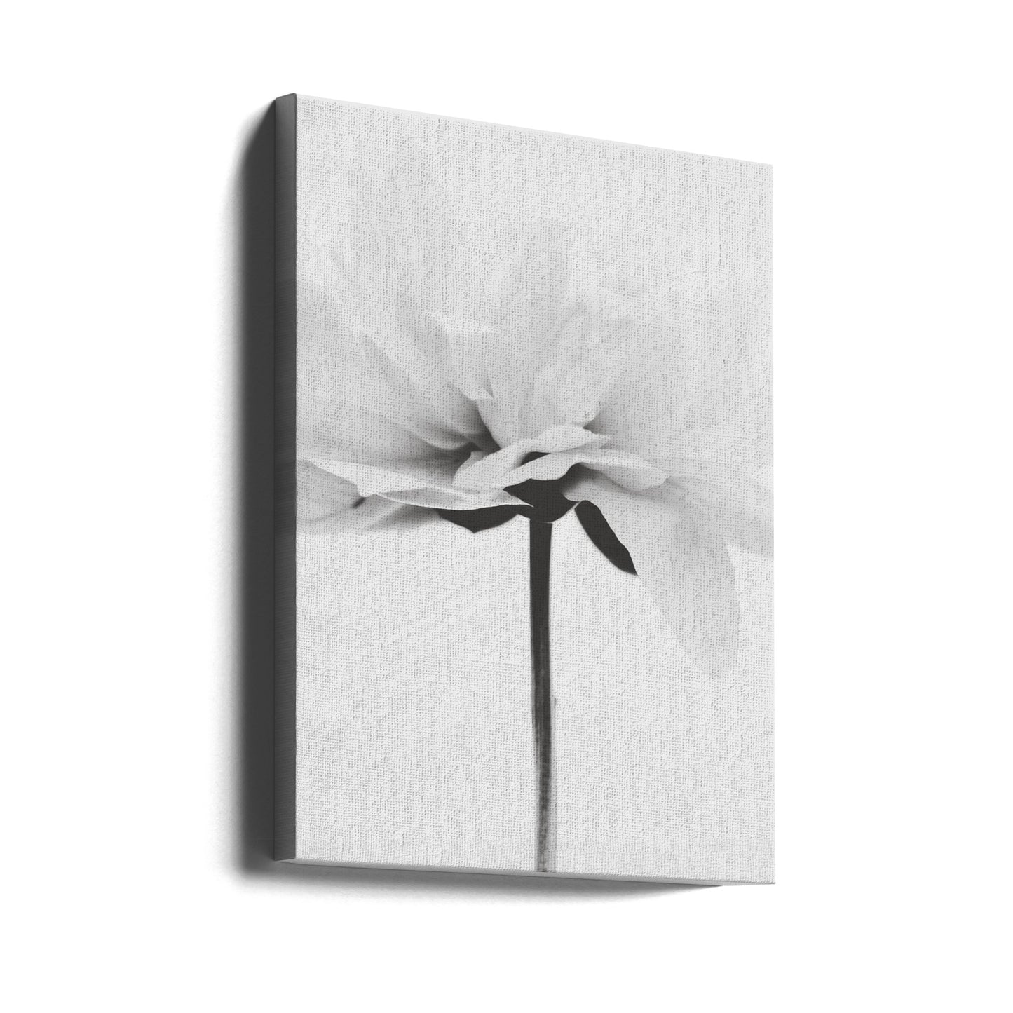 Japandi Coco | Canvas