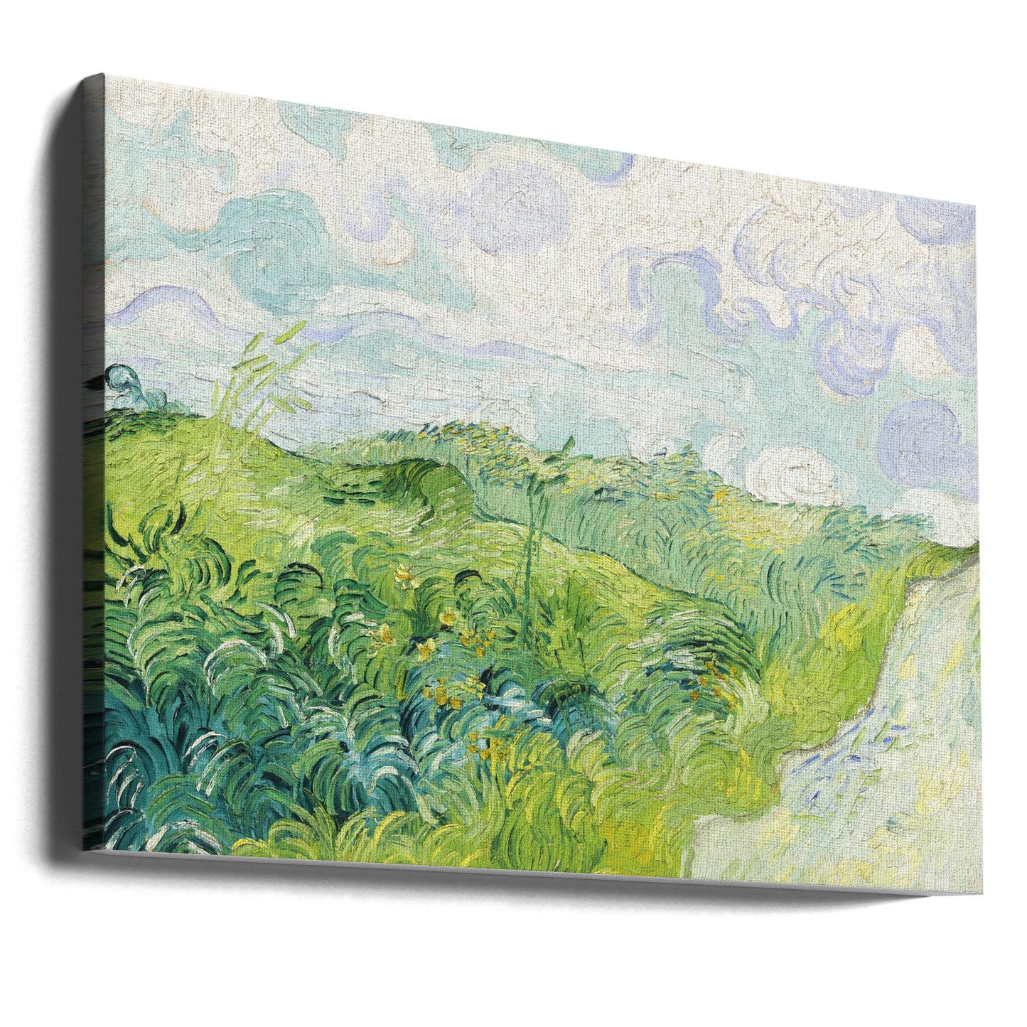Green Wheat Fields, Auvers (1890) By Vincent Van Gogh | Canvas