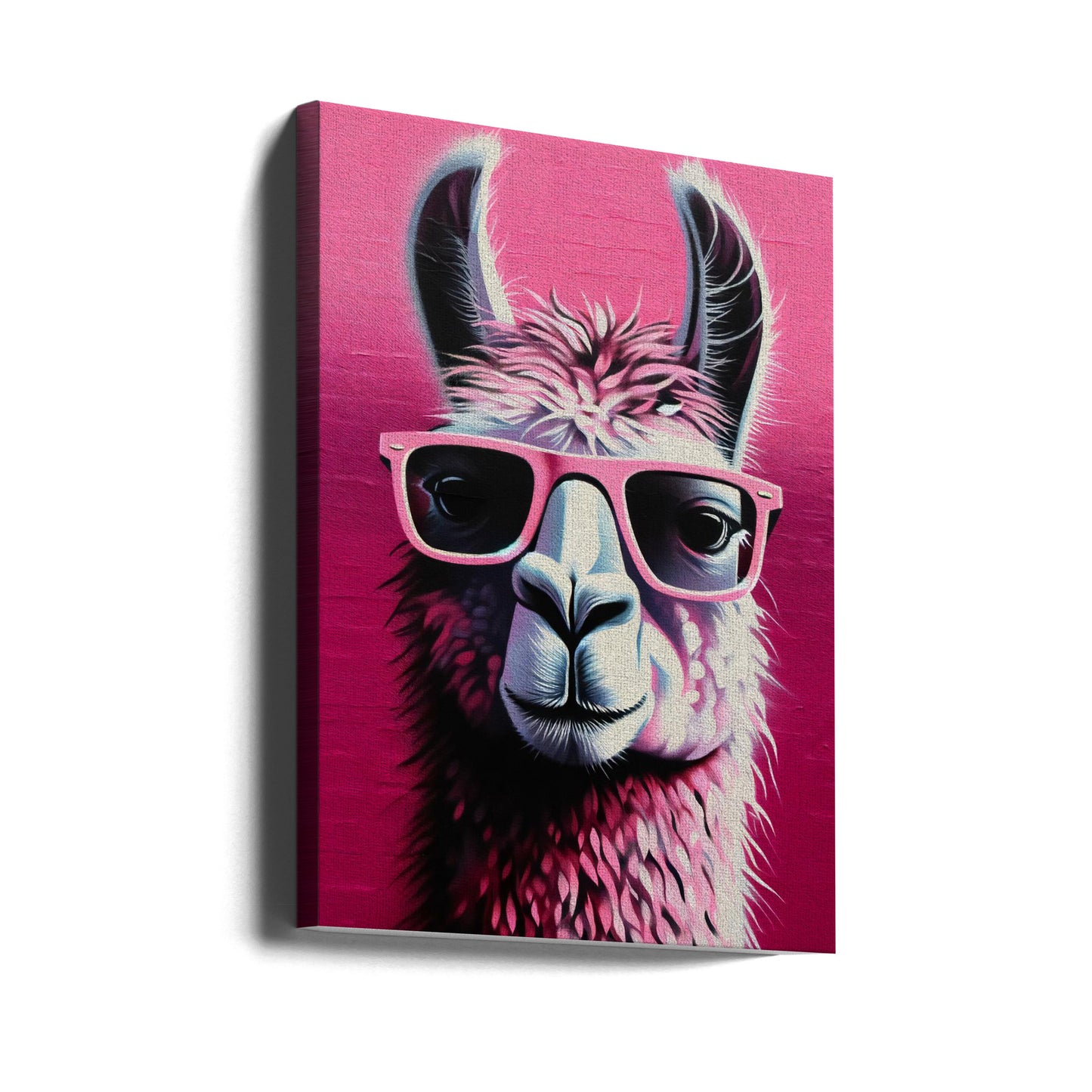 Rosa Lama | Canvas