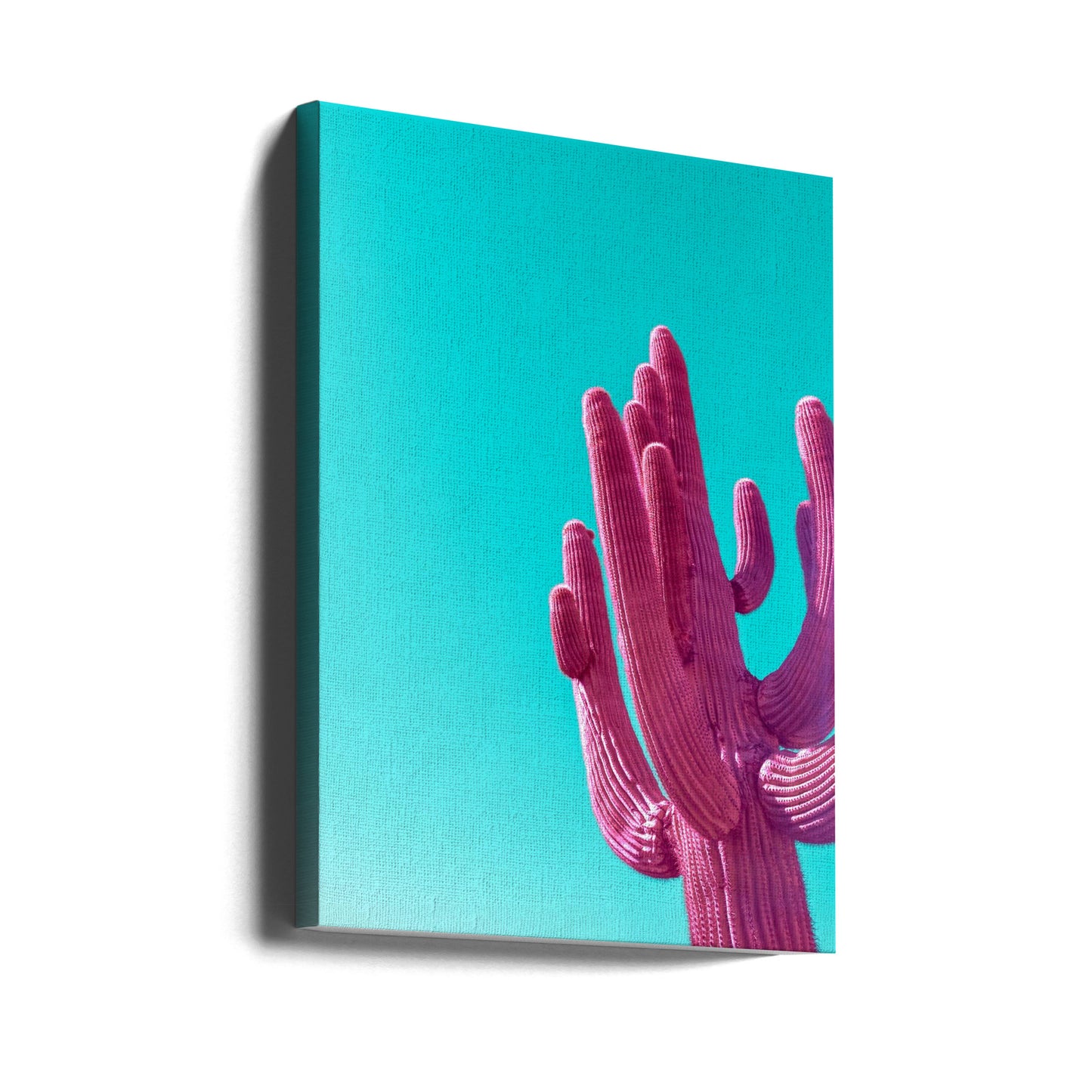 Magenta Rosa Saguaro | Lerretsbilder