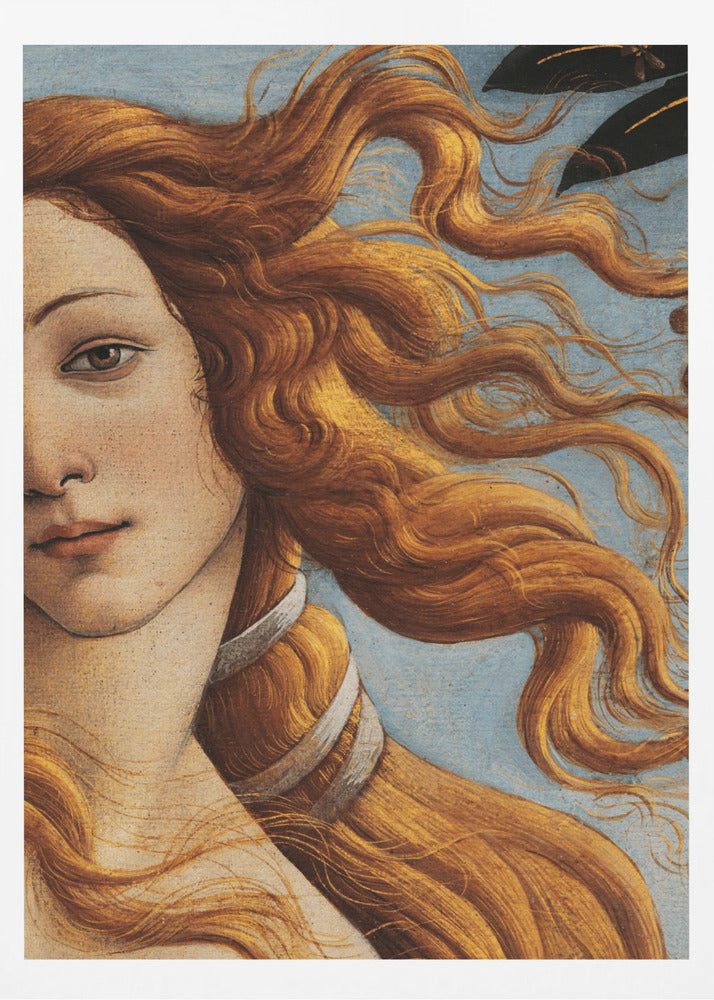 Venus födelse av Sandro Botticelli | Poster