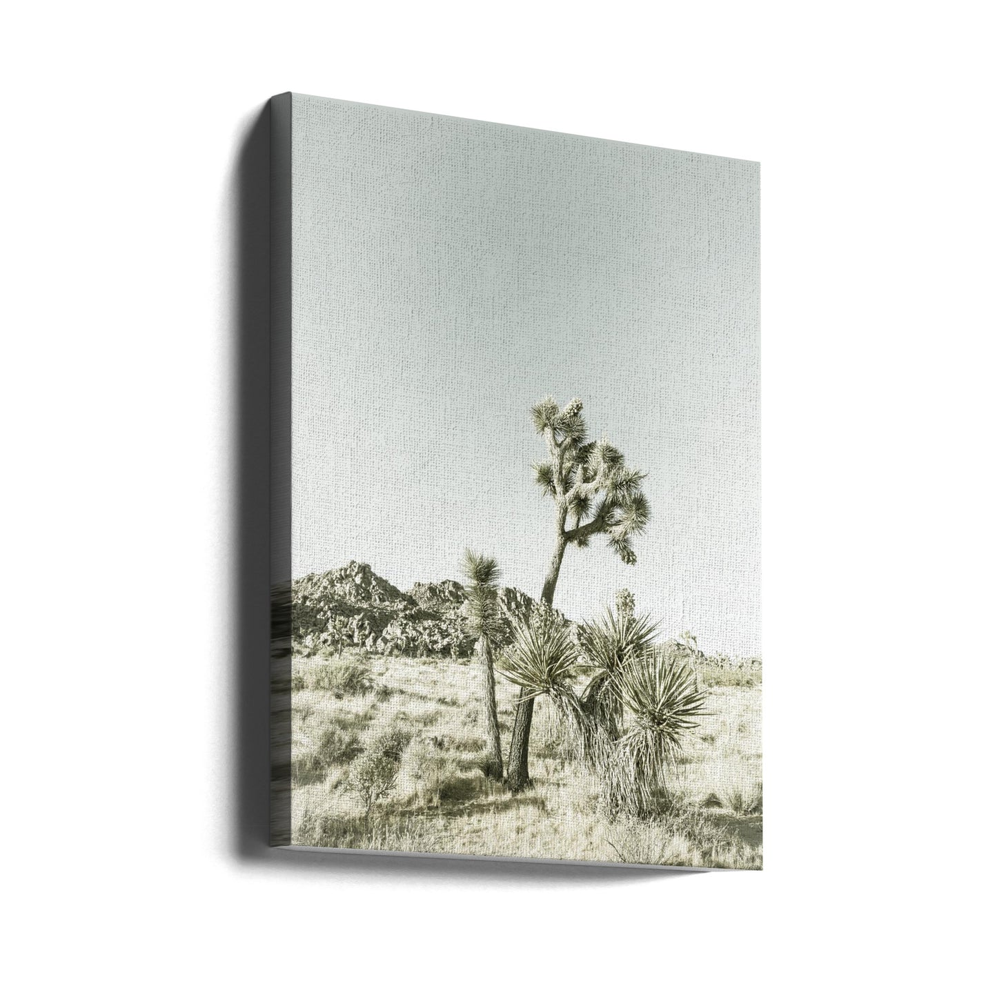 Joshua Tree National Park Vintage Impression | Canvas