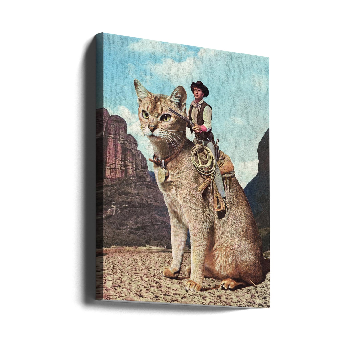 Cat Lone Ranger | Canvas