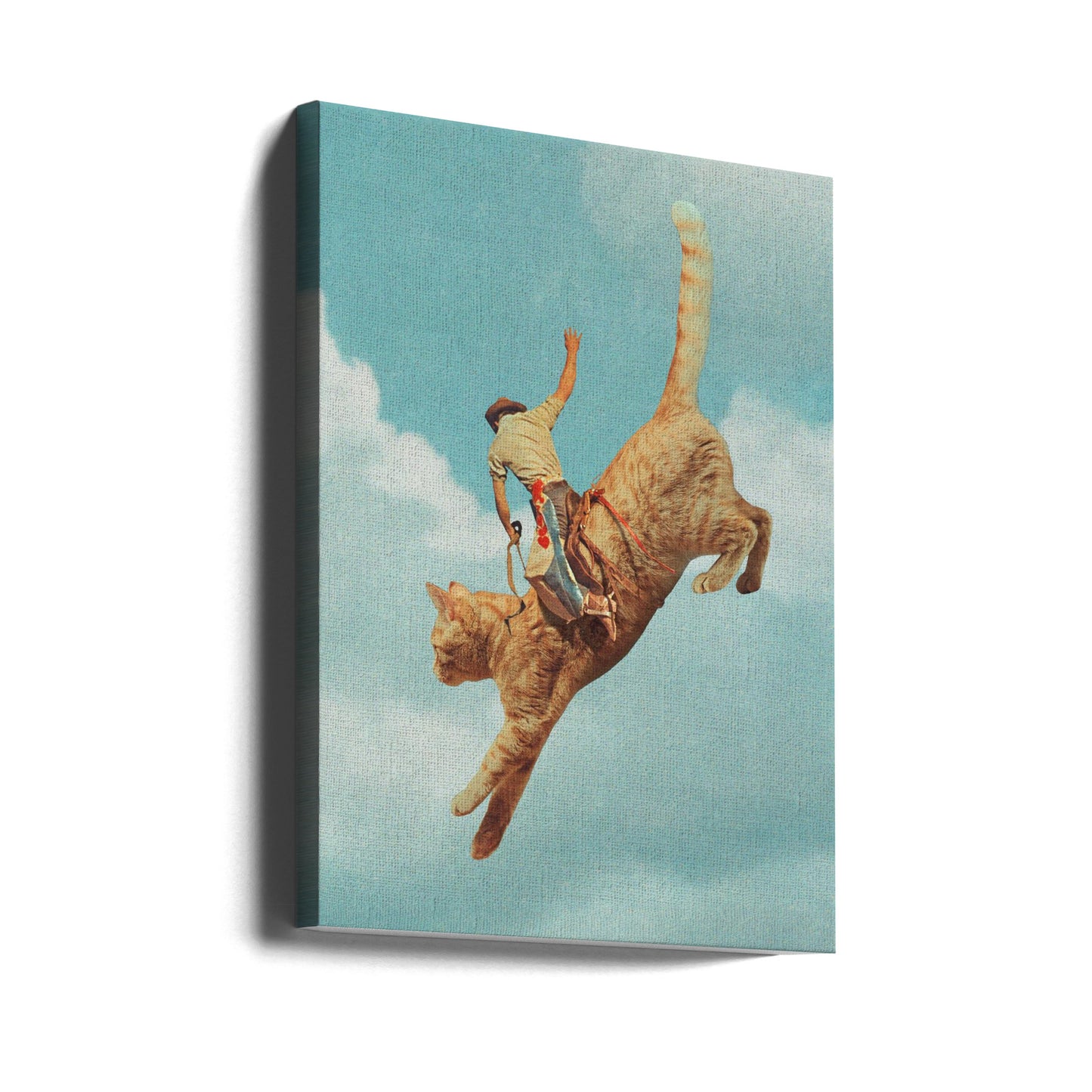 Meehaw Rodio Cat | Canvas