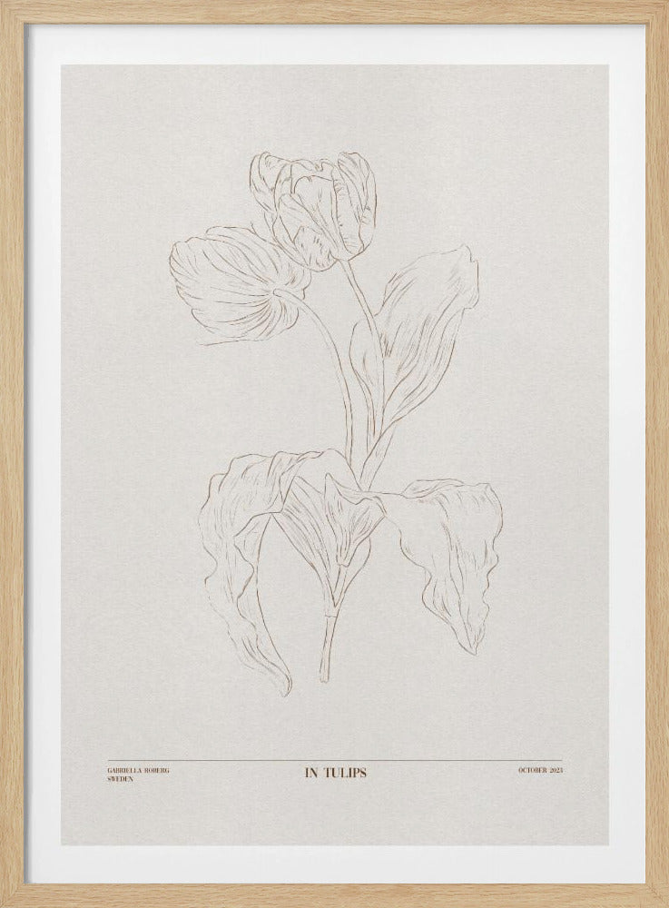 I tulpaner (brun) | Poster