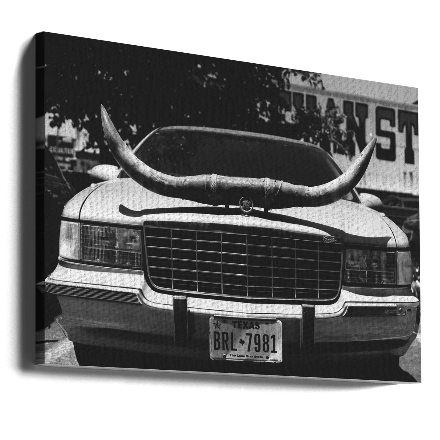 Randonnée au Texas | Tableaux sur Toile