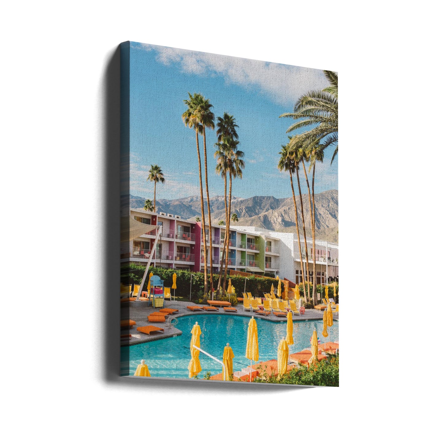 Palm Springs Saguaro | Canvas