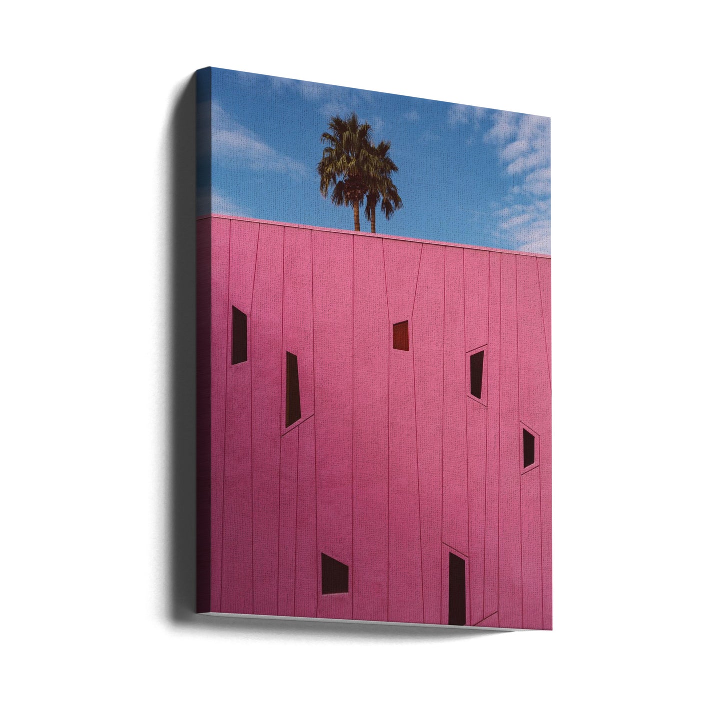 Palm Springs Vibes III | Canvas