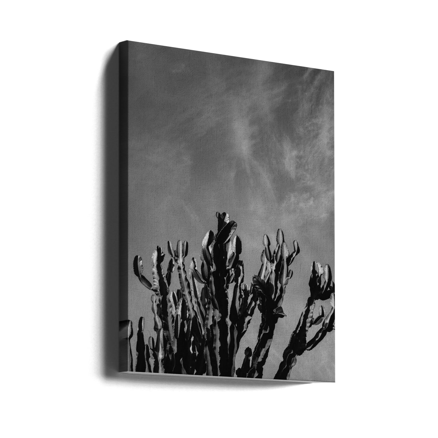 Monochrome Cactus Sky | Canvas