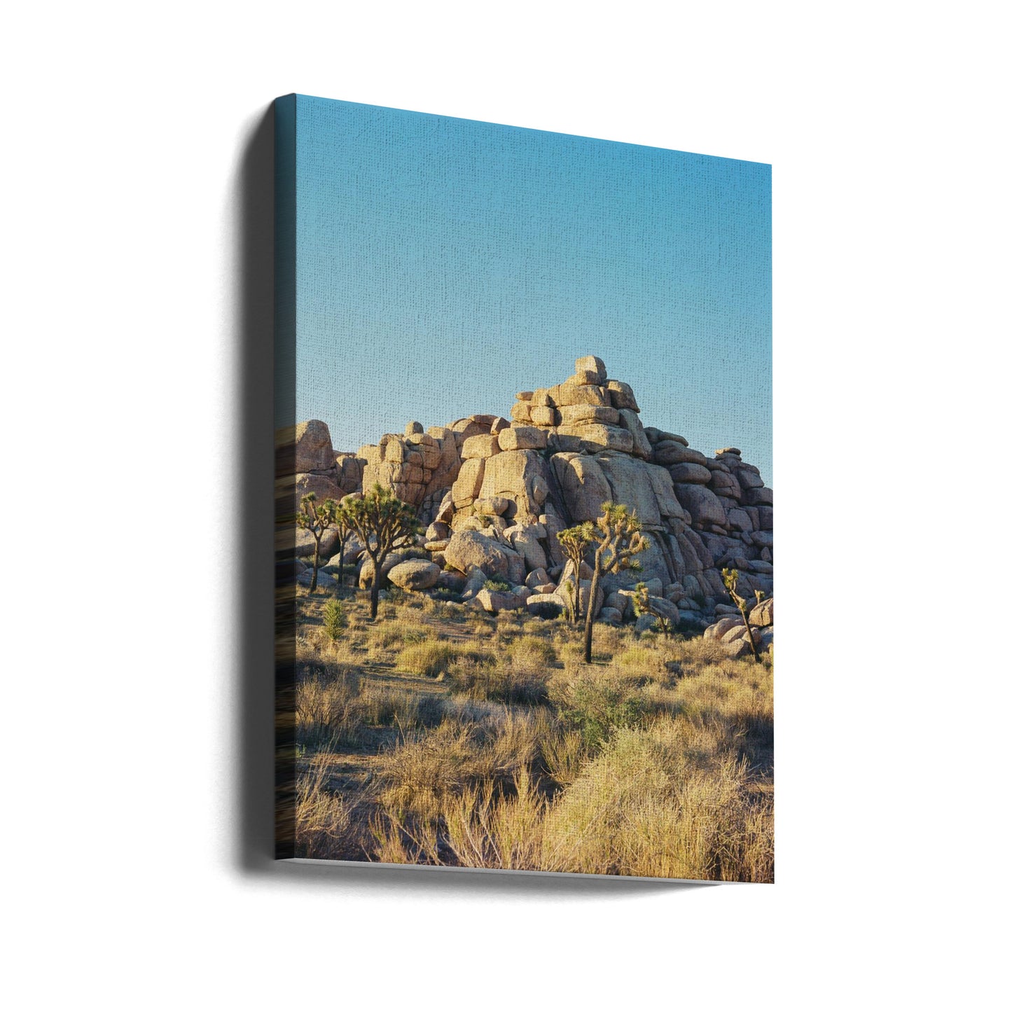 Joshua Tree Sunset | Canvas