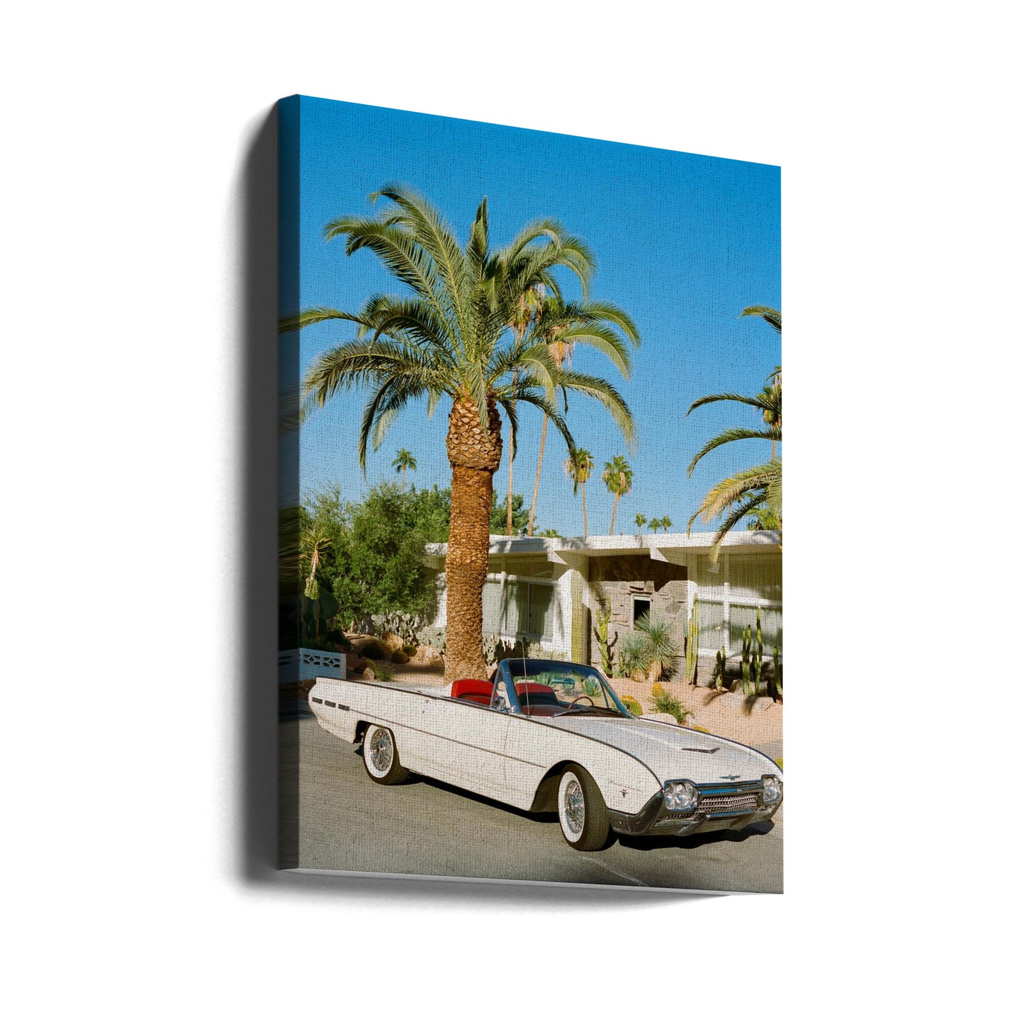 Palm Springs Thunderbird | Canvas