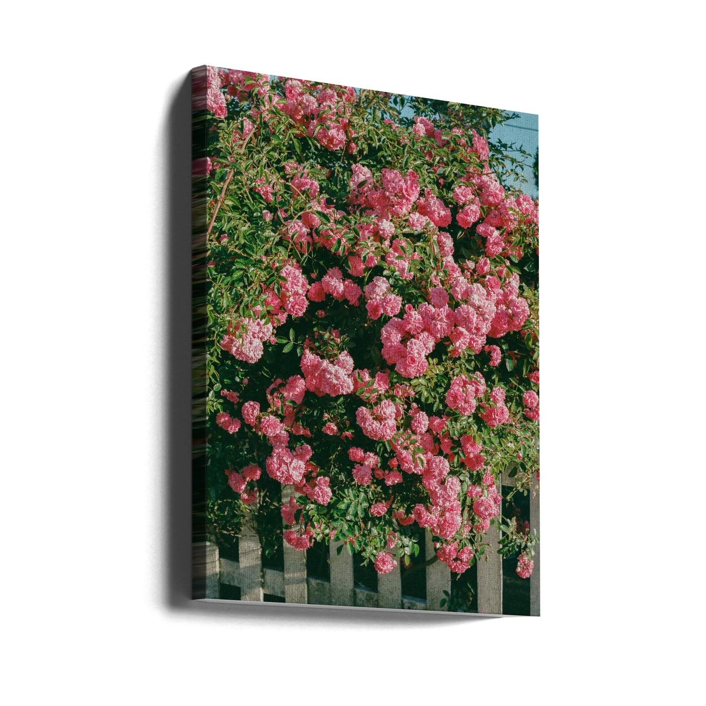 Blommorna i Cannon Beach | Canvas