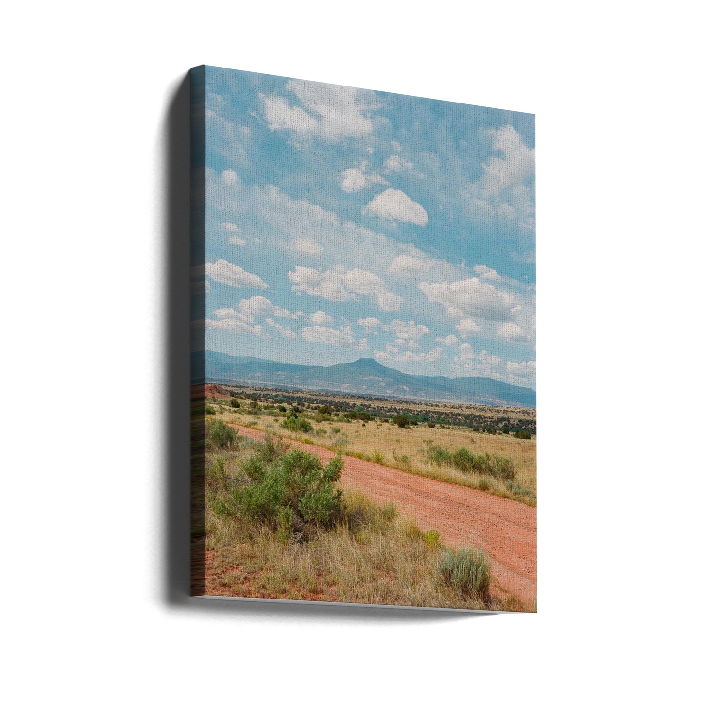 Ghost Ranch II | Canvas