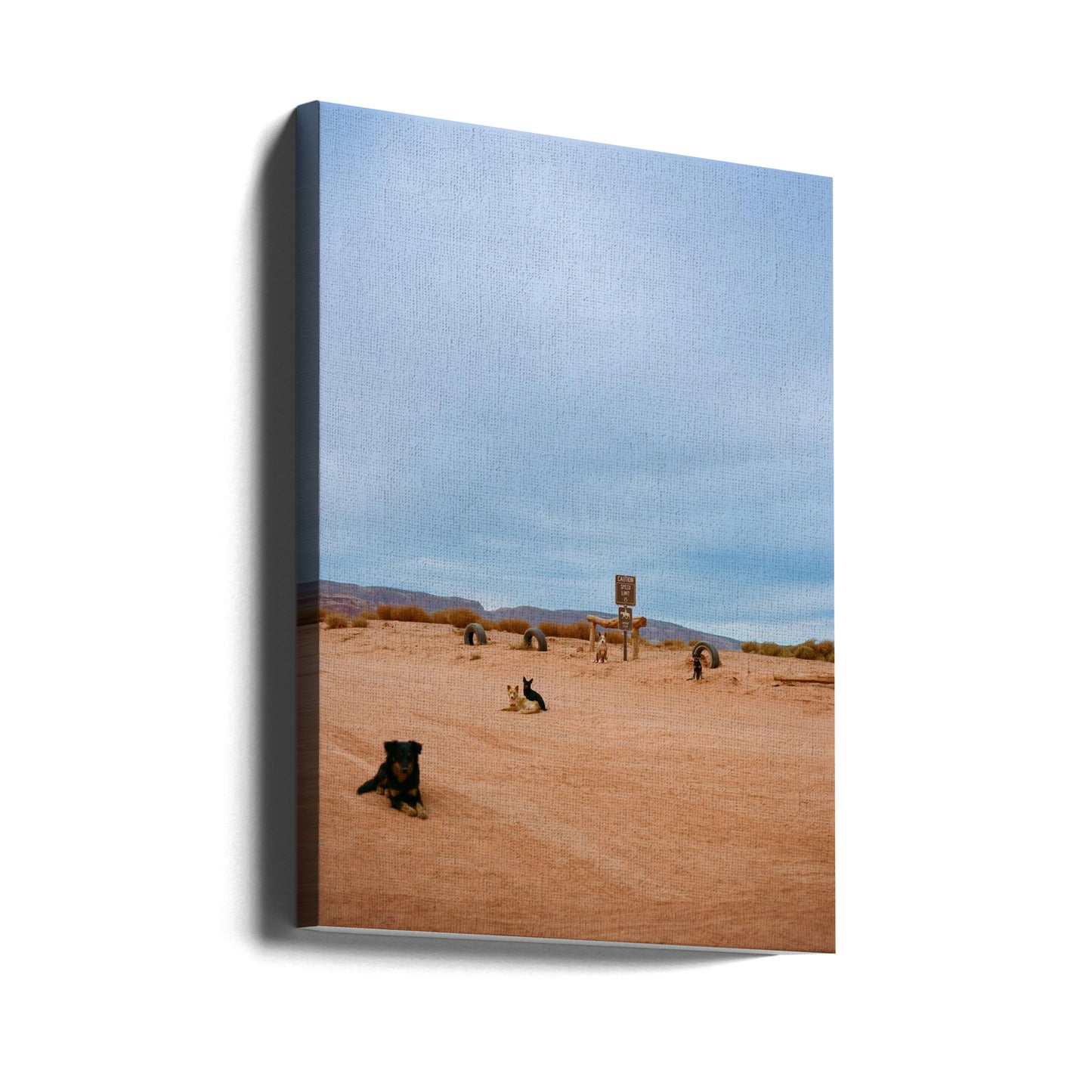 Monument Valley VIII | Canvas