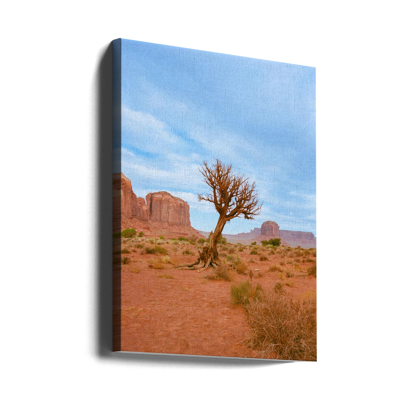 Monument Valley XI | Canvas