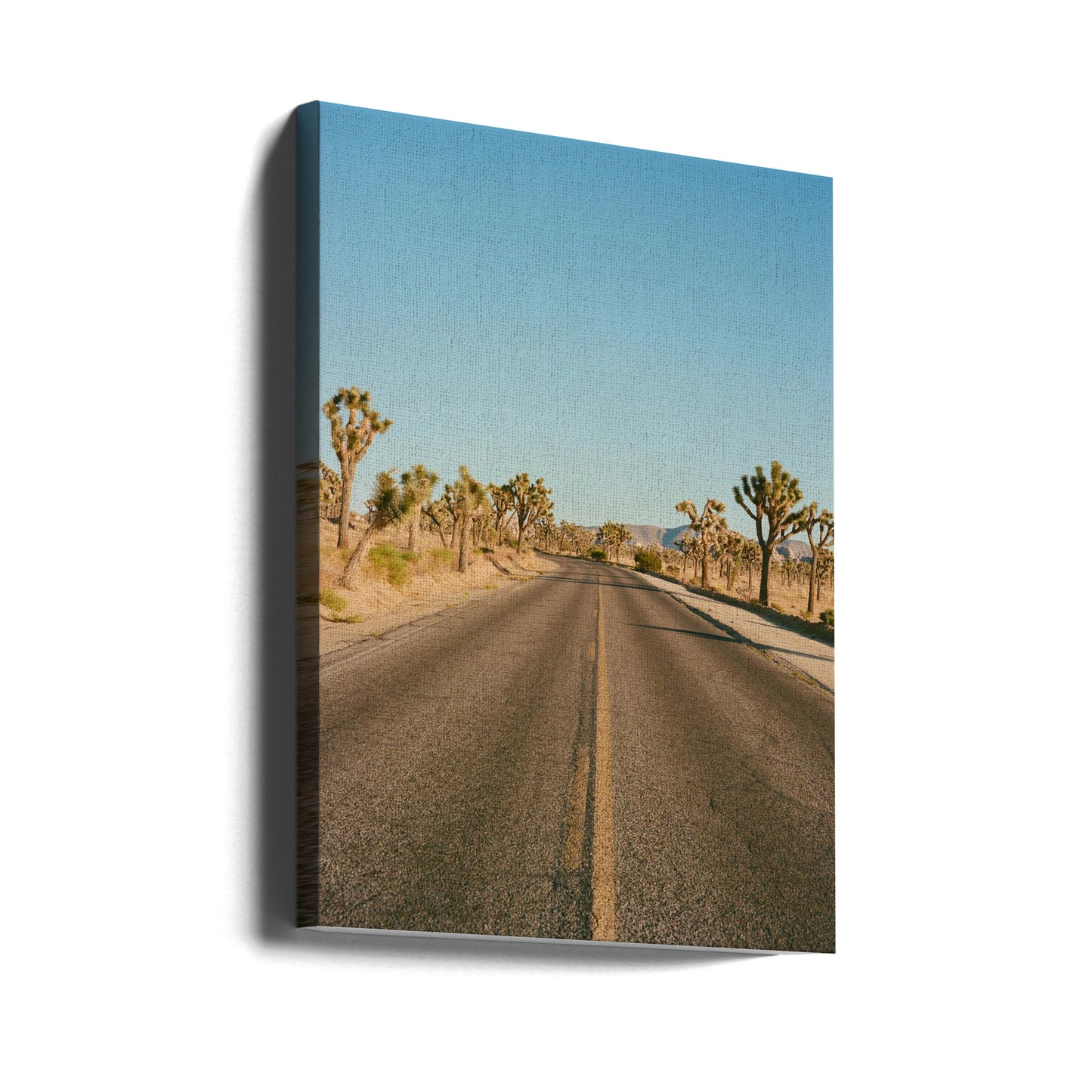 Joshua Tree Road II | Canvas